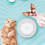 Cattie Kedi ve Köpek Klasik Model Arıtmalı Su Pınarı Antrasit - Görsel 5