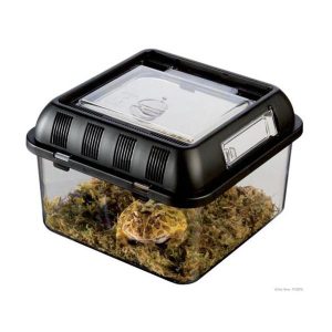 Exo Terra Breeding Box Small