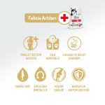 Felicia Kuzulu Köpek Maması 3 Kg - Görsel 2