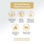 Felicia Kuzulu Yavru Kedi Maması 12 Kg - Görsel 5
