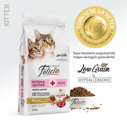 Felicia Kuzulu Yavru Kedi Maması 12 Kg