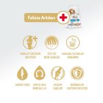 Felicia Somonlu Yetişkin Köpek Maması 3 Kg - Görsel 2