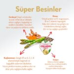 Felicia Somonlu Yetişkin Small/Mini Köpek Maması 3 Kg - Görsel 3