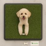 Greenpee Köpek Tuvaleti Çimli Büyük 40x60 cm