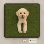 Greenpee Köpek Tuvaleti Çimli Büyük 40x60 cm