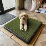 Greenpee Köpek Tuvaleti Çimli Büyük 40x60 cm - Görsel 5