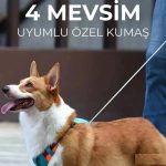 Hesperus Göğüs Tasması (Yeni Nesil) Medium - Görsel 3