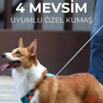 Hesperus Göğüs Tasması (Yeni Nesil) Large - Görsel 9