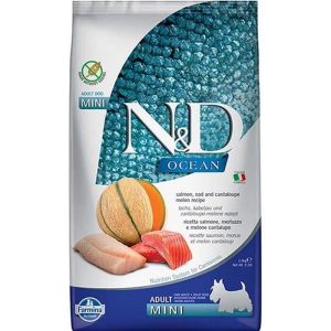 N&D Küçük Irklar İçin Somon ve Morina Balıklı Kavunlu Yetişkin Köpek Maması 2