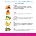N&D Tropical Selection Somonlu ve Tropikal Meyveli Orta ve Büyük Irk Yetişkin Köpek Maması 10 Kg - Görsel 3