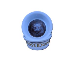 Raccoon Olimpos Serisi Poseidon Kedi Seramik Mama ve Su Kabı 300 Ml