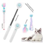 Pet Gravity Retractable Uzatmalı Lazerli Kedi Oltası - Görsel 3
