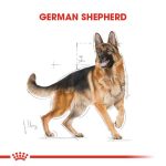 Royal Canin Alman Kurtları İçin Yetişkin Köpek Maması 11 Kg - Görsel 4