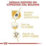 Royal Canin Alman Kurtları İçin Yetişkin Köpek Maması 11 Kg - Görsel 5