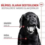 Royal Canin Bağışıklık ve Sindirim Sistemi Destekleyici Yavru Köpek Ödül Maması 100gr - Görsel 2