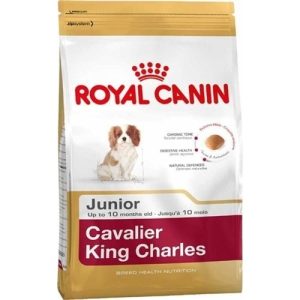 Royal Canin Cavalier King Charles Yavru köpek Maması 1