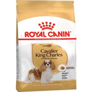 Royal Canin Cavalier King Charles  Yetişkin Köpek Maması 1