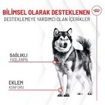 Royal Canin Eklem ve Yaşlanma Destekli Yetişkin Köpek Ödül Maması 240gr - Görsel 2