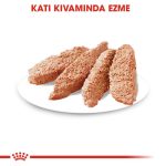 Royal Canin Exigent Köpek Yaş Maması 85 Gr - Görsel 3