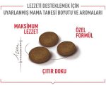 Royal Canin Fussy Exgient Seçici Kedilere Özel Yetişkin Kedi Maması 10 Kg - Görsel 5