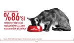 Royal Canin Fussy Exgient Seçici Kedilere Özel Yetişkin Kedi Maması 10 Kg - Görsel 6
