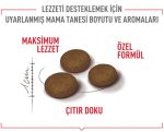 Royal Canin Fussy Exgient Seçici Kedilere Özel Yetişkin Kedi Maması 2 Kg - Görsel 5
