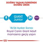 Royal Canin Giant Junior Dev Irk Yavru Köpek Maması 15 Kg - Görsel 4