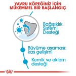 Royal Canin Giant Junior Dev Irk Yavru Köpek Maması 15 Kg - Görsel 5