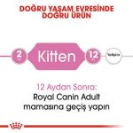 Royal Canin Yavru Kedi Maması 10 Kg - Görsel 3