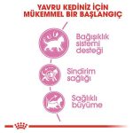 Royal Canin Yavru Kedi Maması 10 Kg - Görsel 4