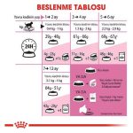 Royal Canin Yavru Kedi Maması 10 Kg - Görsel 5
