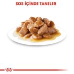 Royal Canin Mini Adult Soslu Köpek Konservesi 85 gr - Görsel 3