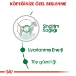 Royal Canin Mini Adult Soslu Köpek Konservesi 85 gr - Görsel 5
