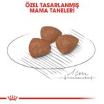 Royal Canin Mini İndoor Puppy Köpek Maması 1,5 Kg - Görsel 3