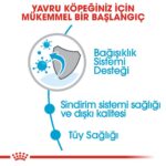 Royal Canin Mini İndoor Puppy Köpek Maması 1,5 Kg - Görsel 5