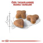 Royal Canin Sensible 33 Kuru Kedi Maması 2 Kg - Görsel 4