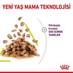 Royal Canin Sensory Smell Etli ve Balıklı Soslu Kedi Konservesi 85 Gr - Görsel 2