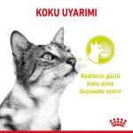 Royal Canin Sensory Smell Etli ve Balıklı Soslu Kedi Konservesi 85 Gr - Görsel 5