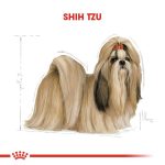 Royal Canin Shih Tzu Yetişkin Köpek Maması 1.5 Kg - Görsel 4