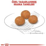 Royal Canin X-Small Küçük Irk Köpek Maması 3 Kg - Görsel 5