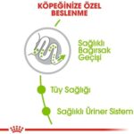 Royal Canin X-Small Küçük Irk Köpek Maması 3 Kg - Görsel 6