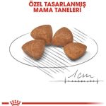 Royal Canin X-Small Puppy Küçük Irk Yavru Köpek Maması 3 Kg - Görsel 3