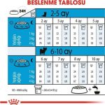 Royal Canin X-Small Puppy Küçük Irk Yavru Köpek Maması 3 Kg - Görsel 4