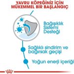 Royal Canin X-Small Puppy Küçük Irk Yavru Köpek Maması 3 Kg - Görsel 5
