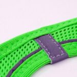 Tailpetz Air Mesh Harness Göğüs Tasması Neon Yeşil Small - Görsel 8