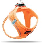 Tailpetz Air Mesh Harness Göğüs Tasması Turuncu XLarge