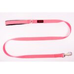 Tailpetz Neon Pink Köpek Gezdirme Tasması