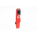 Tailpetz Prism Boyun Tasması Medium - Görsel 2
