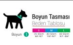 Tailpetz Prism Boyun Tasması Small - Görsel 6