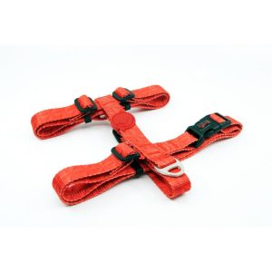 Tailpetz Prism Göğüs Tasmasi Medium